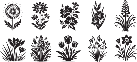 Foto op Plexiglas collection of various flowers, hibiscus, orchid, daisy, dandelion, heather, rose, crocus, black vector graphic © Malgo