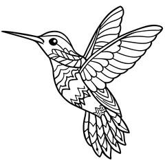 Coloring  page  with  Hummingbird flying book cover page