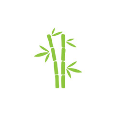 Green bamboo illustration