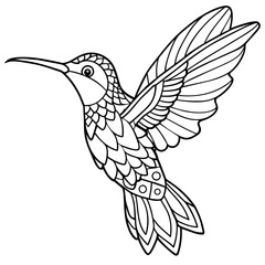 Coloring  page  with  Hummingbird flying book cover page