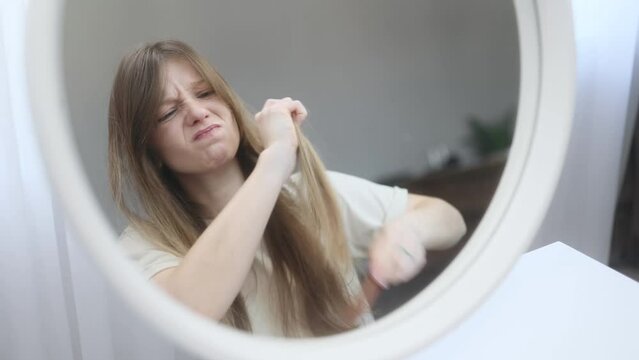 Portrait of nervous caucasian young woman having difficulty brushing her tangled hair dryness split ends problem by wooden brash while looking at mirror reflection at home
