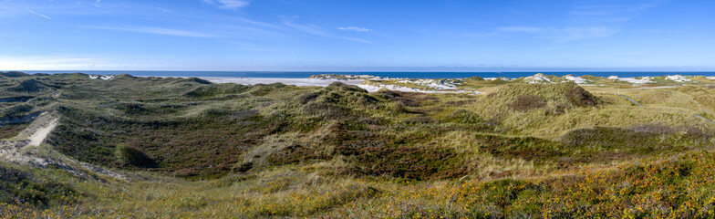 Fototapeta na wymiar Panorama, dunes on the North Frisian Island Amrum in Germany 