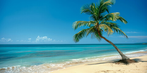Fototapeta na wymiar A lone palm tree stands against a clear blue sky on a flawless white-sand beach