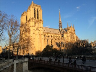 Fototapeta na wymiar Cathédrale Notre Dame - Paris, France