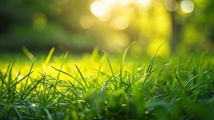 Zelfklevend Fotobehang close-up photo captures the vibrant lush green grass, set against a softly blurred background © maxdesign202
