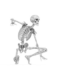 structural skeleton is crouched and ready for action