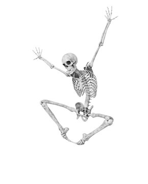 structural skeleton is jumping like spider