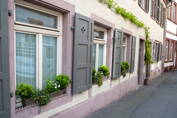 Fototapeta na wymiar Heidelberg old town, Germany. Traditional architecture building. Window, sill, plant, wooden shutter