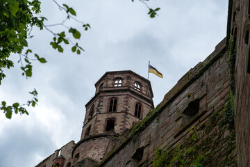 Heidelberg castle tower with flag, Germany. Under view of old fortress ruins with creeper plant.