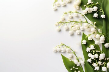 Elegant lily of the valley flowers on a bright backdrop, symbolizing purity, springtime and renewal. Copy space