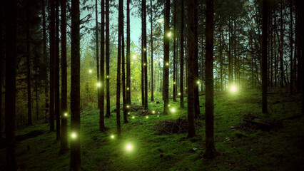 Magic glowing firefly lights in dark evening mossy forest.