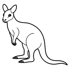 Vector of cartoon kangaroo illustration on white
