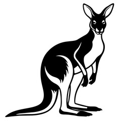 Vector of cartoon kangaroo illustration on white
