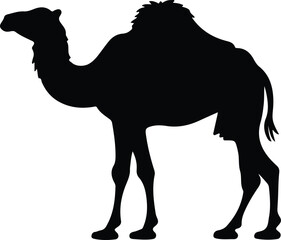 bactriancamel silhouette