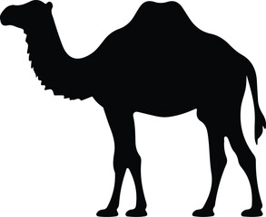 bactriancamel silhouette