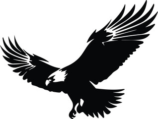 Obraz premium baldeagle silhouette