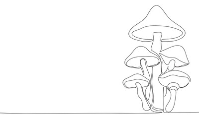 Mushrooms one line continuous. Line art Mushrooms isolated on transparent background. Hand drawn vector art.