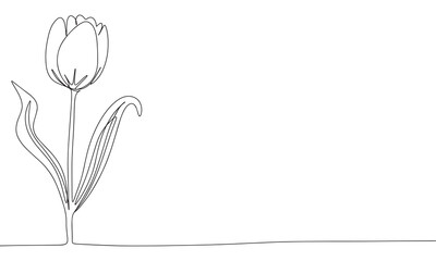 Flower one line continuous. Line art Flower isolated on transparent background. Hand drawn vector art.