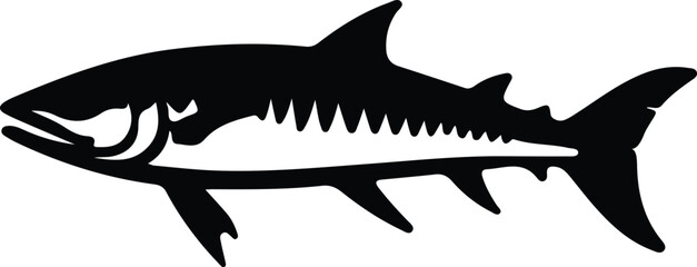 barracuda silhouette