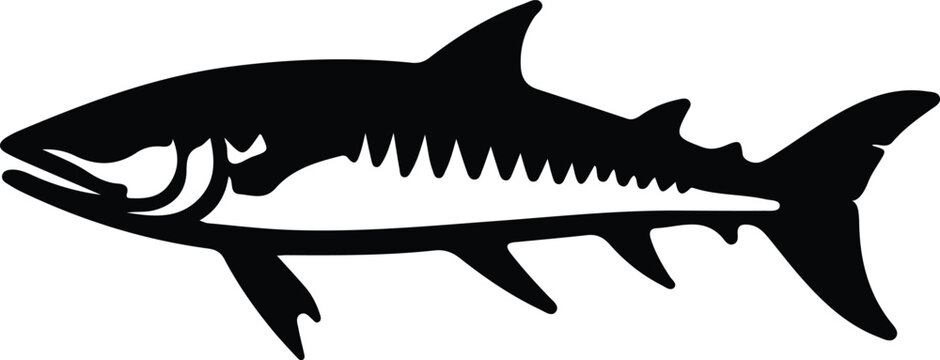 recommend clip art: barracuda silhouette