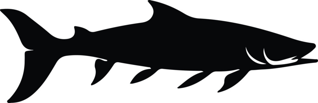 recommend clip art: barracuda silhouette