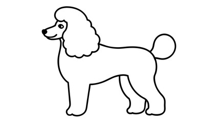 poodle clipart black and white withe white background vector illustration