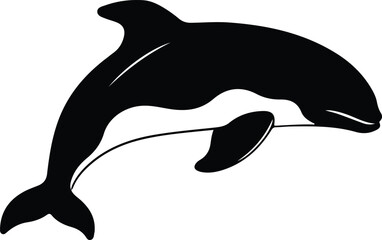 belugawhale silhouette