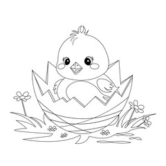 Vector outline drawing, coloring page of a cute little chicken in an egg shell.