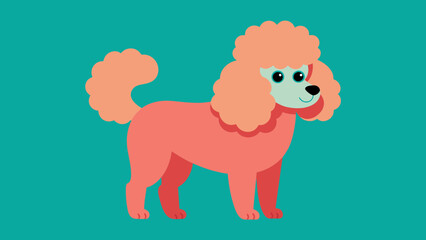 colorful poodle clipart vector illustration