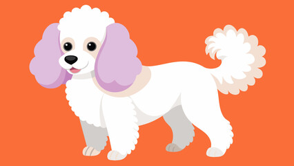 colorful poodle clipart vector illustration