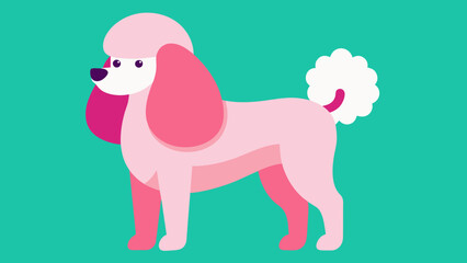 colorful poodle clipart vector illustration