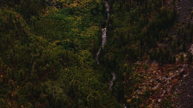 Blodgett Creek in Bitterroot Mountains, Montana