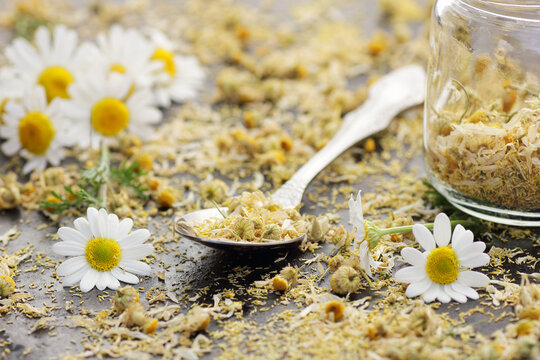 Dried chamomile herbal tea in a spoon with flowers on black background, closeup, healing drink, natural medicine and naturopathy concept