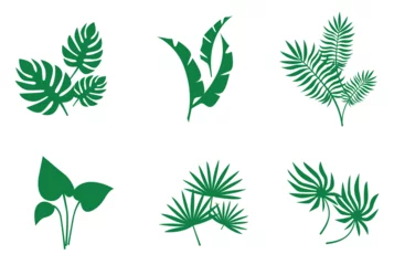 Fotobehang Tropische bladeren Palm and tree leaves green vector set
