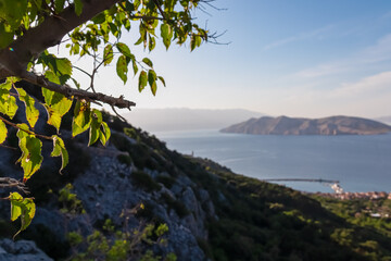 Green tree leaves with scenic view of church Sveti Ivan in coastal town Baska, Krk Island, Primorje-Gorski Kotar, Croatia, Europe. Coastline of Adriatic Sea and otok Prvic. Archipelago Kvarner Bay