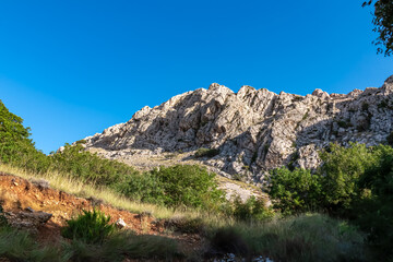 Scenic hiking trail through idyllic conifer forest to majestic mountain ridges in coastal town Baska, Krk Otok, Primorje-Gorski Kotar, Croatia, Europe. Alpine landscape in serene atmosphere in summer
