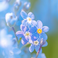 Inspirational blooms Forget me not flowers in macro, a springtime symphony For Social Media Post Size