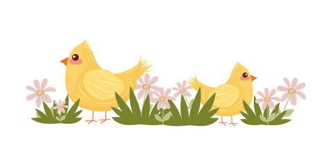Cute Easter chick illustration with green grass and pink flowers on isolated white background. Festive Easter motif. For postcards, invitations, Easter decor.