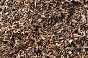 Closeup of a wood chips pile used for biomass solid fuel and as organic mulch in gardening. Mulching with wood chips conserves and retains soil moisture, reduces weeds in flower beds.