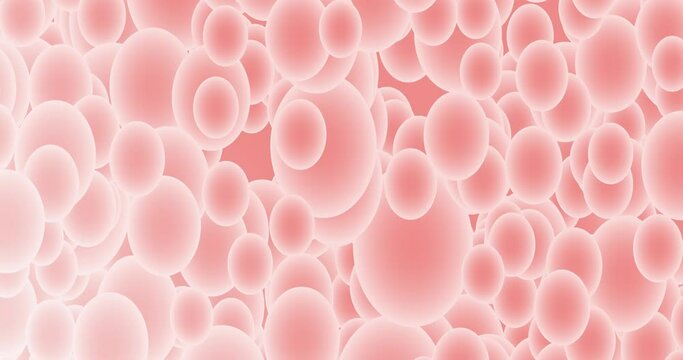 Cream e Coral bolhas.
