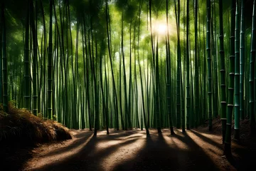 Gordijnen bamboo forest in the morning © Muhammad