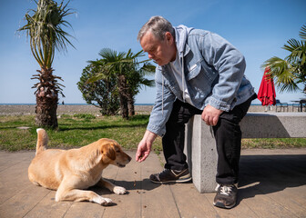 Older man in casual clothes feeds his loyal dog.