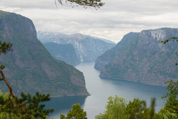 Nature view of Norwegian fjord mountains with river on cloudy summer day through green conifers.