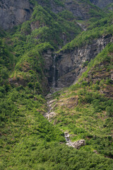 Norwegian fjord mountain nature view with waterfall and green trees growing at the foot of the mountain.