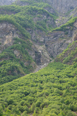 Fototapeta premium Norwegian fjord mountain scenery with rocks on which green plants and trees grow on a warm summer day.