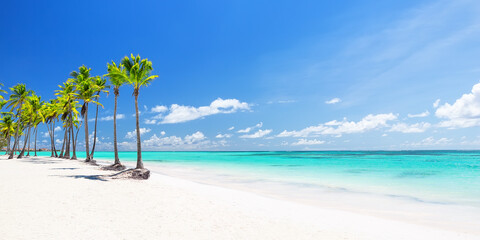 Beautiful tropical white sand beach and coconut palm tree in Cap Cana Dominican Republic.