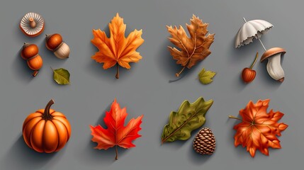 Fototapeta premium Close up set of five different orange leaves in autumn, isolated on panoramic transparent background, fall season