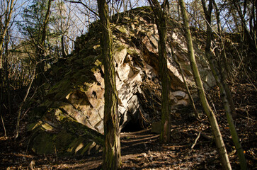 A mystical cave in the middle of the forest 