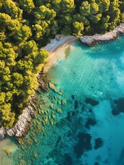 Aerial snapshot of Hvar's pristine beach in Croatia, showcasing clear turquoise waters against a lush green forest backdrop.