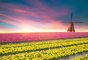Windmill in Holland Michigan - An authentic wooden windmill from the Netherlands rises behind a...